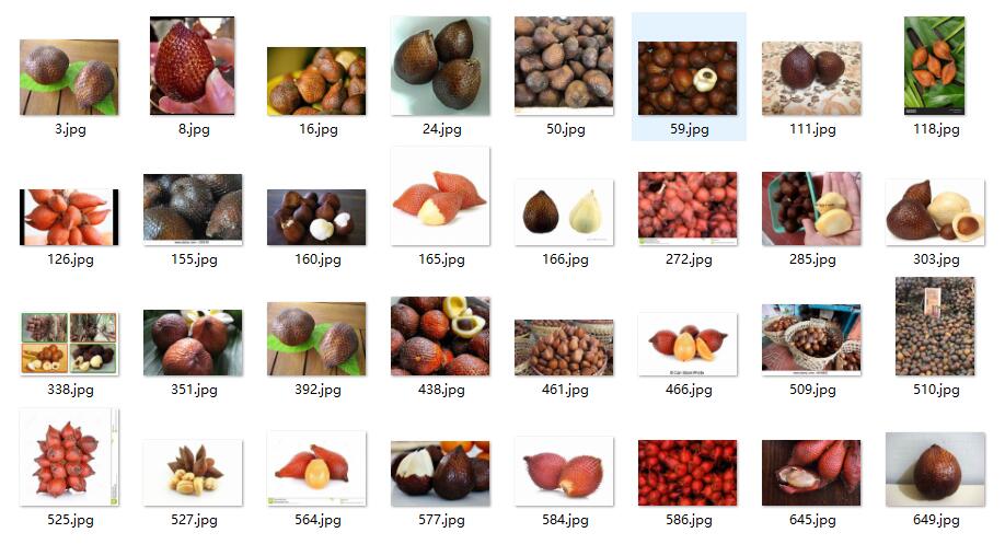 数百种水果数据【水果数据-水果分类-模型训练数据】